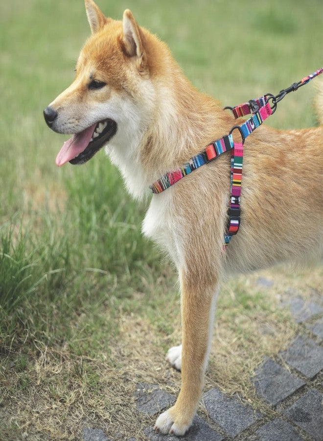 M-PETS Urban Style Jazz Stripes Harness for Medium Dogs, Adjustable Neck & Chest Fit, EcoFriendly Dog Harness, Strong Nylon Buckles, Easy to Clean, for Walking, Training & Outdoor Activities, Medium - Image 3
